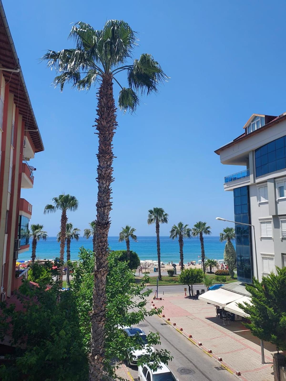 Kleopatra Sahara Hotel Alanya Extérieur photo